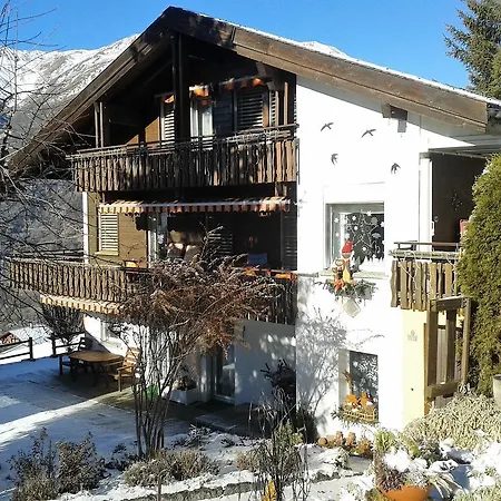 Schneevogul * Grächen