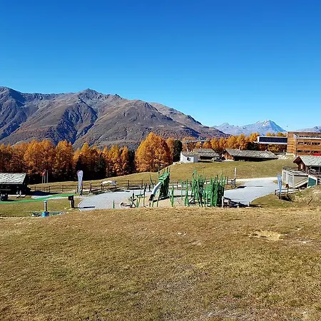 Schneevogul Grächen