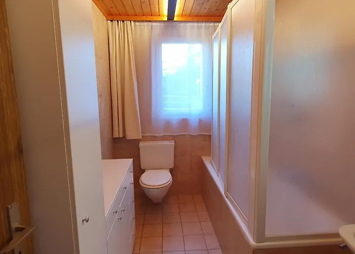 Schneevogul Grächen