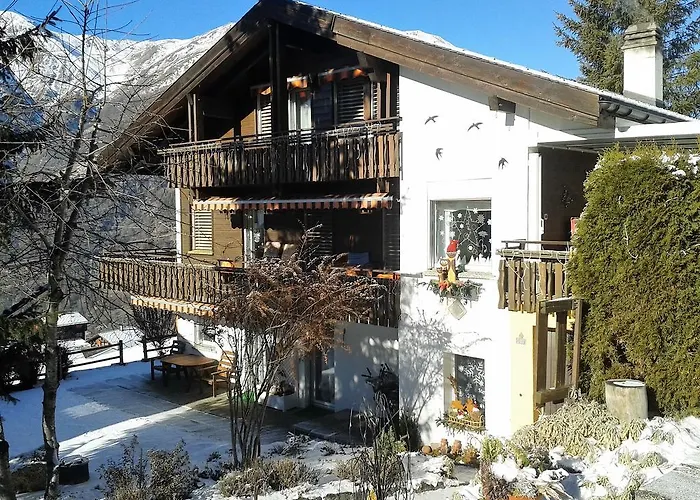 Schneevogul * Grächen