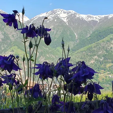 施内沃谷尔木屋公寓 公寓 格雷兴