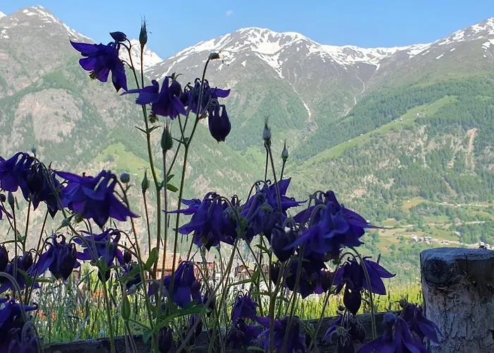 Schneevogul Διαμέρισμα Grächen