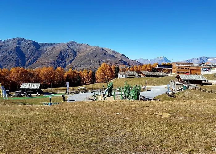 Schneevogul Grächen