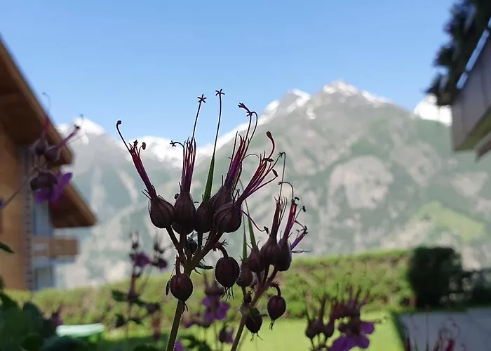 Apartment Schneevogul Grachen